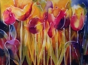 Tulip Fantasy